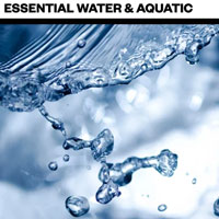 Big Room Sound Essential Water and Aquatic Big Room Sound Essential Water and Aquatic