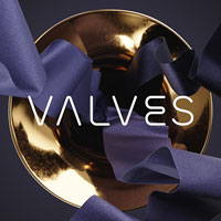Native Instruments Valves Native Instruments Valves