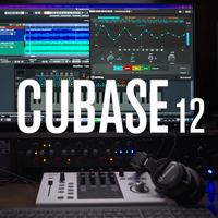 Steinberg Cubase Pro 12 Steinberg Cubase Pro 12